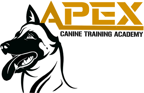 Apexctacanada
