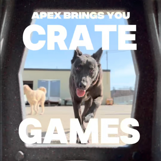 Crate Games: The Foundation of Calm, Confident Dogs